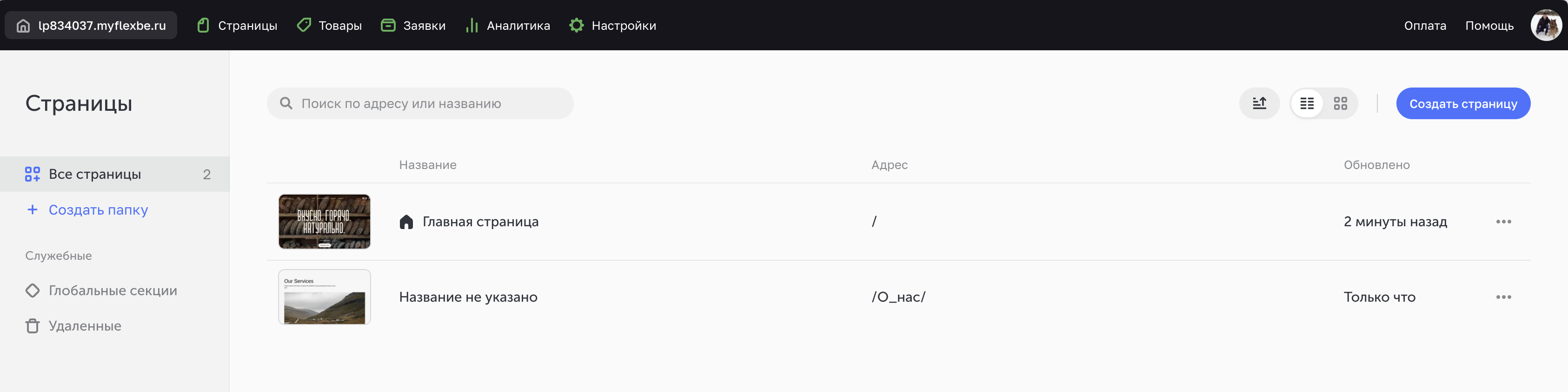 Раздел Страницы.png